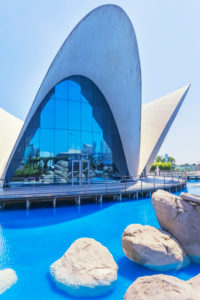 The Oceanographic Aquarium, City of Arts and Sciences, Valencia, Comunidad Autonoma de Valencia, Spain The Oceanographic Aquarium, City of Arts and Sciences, Valencia, Comunidad Autonoma de Valencia, Spain