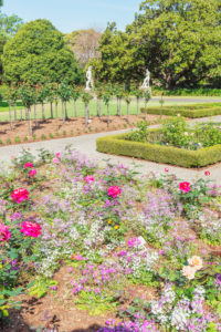 Royal Botanic Gardens, Sydney, New South Wales, Australia, Royal Botanic Gardens, Sydney, New South Wales, Australia,