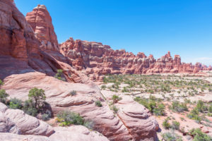 Sandstone pinnacles, Chesler Park, The Needles district, Canyonlands National Park, Utah, USA Sandstone pinnacles, Chesler Park, The Needles district, Canyonlands National Park, Utah, USA