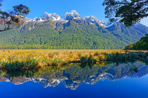 Snow capped mountains reflecting in Lake Matheson, Milford Sound, Fiordland National Park, South Island, New Zealand, 