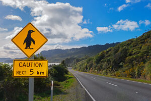 Penguin crossing road sign, South Island, New Zealand