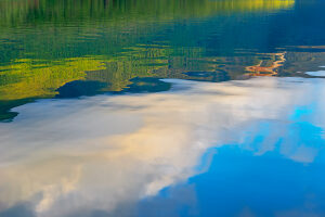 Reflection in Lake Rotoiti, Nelson Lakes National Park, New Zealand