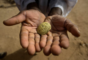 Gold prospectors at work in the Delgo gold market in the Sahara, Sudan