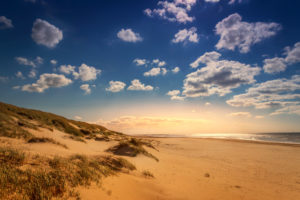 Netherlands, Holland, on the West Frisian isl Netherlands, Holland, on the West Frisian island of Texel, Province of North Holland