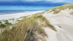 Dune landscape in Holland with a view of the sea Dune landscape in Holland with a view of the sea