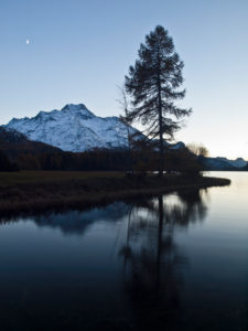 Blue hour on Lake Sils, Engadin Blue hour on Lake Sils, Engadin