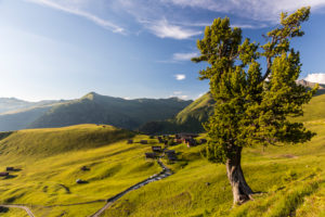 Walser village in the Swiss Canton of Grisons Walser village in the Swiss Canton of Grisons
