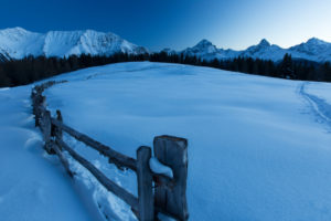 Blue hour in the nature reserve Parc Ela near Davos Blue hour in the nature reserve Parc Ela near Davos