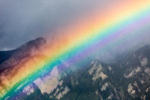 Rainbow in a summer storm Rainbow in a summer storm