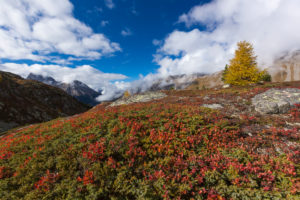 Autumn at 2300 meters above sea level at the Crap Alv Lajets on the Albula Pass, canton of Grisons, Switzerland, Autumn at 2300 meters above sea level at the Crap Alv Lajets on the Albula Pass, canton of Grisons, Switzerland,
