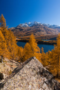 A perfect autumn day in the middle of Golden October over Lake Sils in the Engadin, canton of Grisons, Switzerland A perfect autumn day in the middle of Golden October over Lake Sils in the Engadin, canton of Grisons, Switzerland