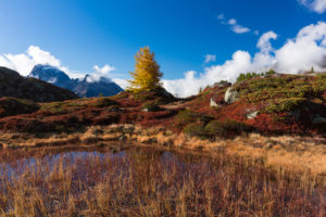 Autumn at 2300 meters above sea level at the Crap Alv Lajets on the Albula Pass, canton of Grisons, Switzerland, Autumn at 2300 meters above sea level at the Crap Alv Lajets on the Albula Pass, canton of Grisons, Switzerland,