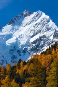 Two seasons seem to clash in the Morteratschtal (valley) near Pontresina at the foot of the Piz Bernina, canton of Grisons, Switzerland, Two seasons seem to clash in the Morteratschtal (valley) near Pontresina at the foot of the Piz Bernina, canton of Grisons, Switzerland,