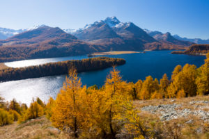A perfect autumn day in the middle of Golden October over Lake Sils in the Engadin, canton of Grisons, Switzerland A perfect autumn day in the middle of Golden October over Lake Sils in the Engadin, canton of Grisons, Switzerland