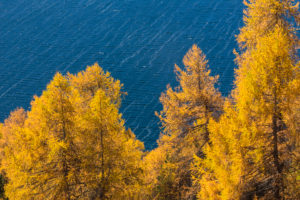 A perfect autumn day in the middle of Golden October over Lake Sils in the Engadin, canton of Grisons, Switzerland A perfect autumn day in the middle of Golden October over Lake Sils in the Engadin, canton of Grisons, Switzerland