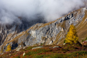 Autumn at 2300 meters above sea level at the Crap Alv Laiets on the Albula Pass, canton of Grisons, Switzerland Autumn at 2300 meters above sea level at the Crap Alv Laiets on the Albula Pass, canton of Grisons, Switzerland