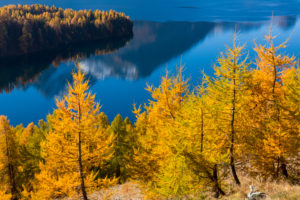 A perfect autumn day in the middle of Golden October over Lake Sils in the Engadin, canton of Grisons, Switzerland A perfect autumn day in the middle of Golden October over Lake Sils in the Engadin, canton of Grisons, Switzerland