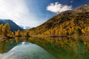 The Golden October shows at Pontresina from the most beautiful side, view on Bellavista, canton of Grisons, Switzerland The Golden October shows at Pontresina from the most beautiful side, view on Bellavista, canton of Grisons, Switzerland