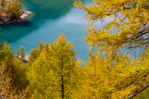 Autumn on the Alp Grüm near Poschiavo, canton of Grisons, Switzerland Autumn on the Alp Grüm near Poschiavo, canton of Grisons, Switzerland