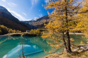 The afternoon sun bathes the area around the reservoir Lago Palü on the Alp Grüm near Poschiavo in an autumnal light, canton Grisons, Switzerland, The afternoon sun bathes the area around the reservoir Lago Palü on the Alp Grüm near Poschiavo in an autumnal light, canton Grisons, Switzerland,