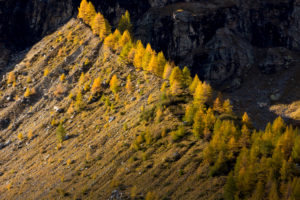 Light and shade determine the autumnal landscape on Lake Palü in the Alp Grüm, canton of Grisons, Switzerland Light and shade determine the autumnal landscape on Lake Palü in the Alp Grüm, canton of Grisons, Switzerland
