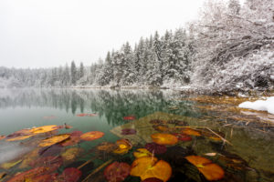 The first snow in November covers Lake Cresta near Trin with a winter dress, Canton Grisons, Switzerland The first snow in November covers Lake Cresta near Trin with a winter dress, Canton Grisons, Switzerland