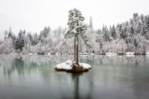 The first snow in November covers Lake Cresta near Trin with a winter dress, Canton Grisons, Switzerland The first snow in November covers Lake Cresta near Trin with a winter dress, Canton Grisons, Switzerland