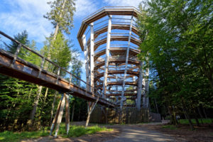 Germany, Baden-Wurttemburg, Black Forest (Schwarzwald), Bad Wildbad, Treetop trail on Mt Sommerberg, Baumwipfelpfad Germany, Baden-Wurttemburg, Black Forest (Schwarzwald), Bad Wildbad, Treetop trail on Mt Sommerberg, Baumwipfelpfad