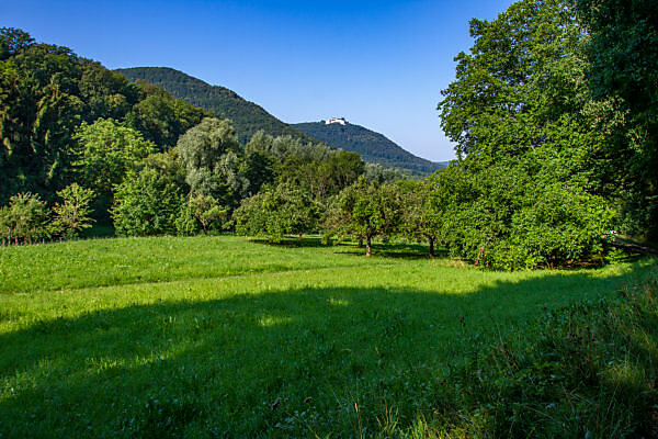 Bildagentur Mauritius Images France Drome Regional Park Of Baronnies Provencales Venterol Next To Nyons Lavender Field And Vineyard