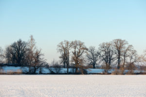 Staffelsee gefroren Staffelsee gefroren
