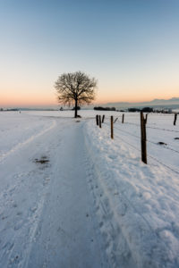 Winterlandschaft mit Baum und Schnee Winterlandschaft mit Baum und Schnee