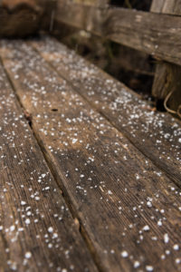 Spring hail, wood Spring hail, wood