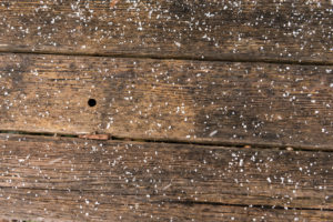 Hagel im Frühling, Holz Hagel im Frühling, Holz