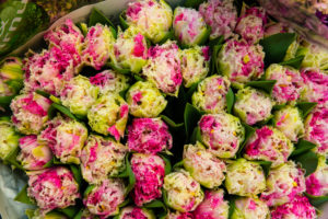 Blumen im Frühling, Blumenhändler, Blumenmarkt Blumen im Frühling, Blumenhändler, Blumenmarkt