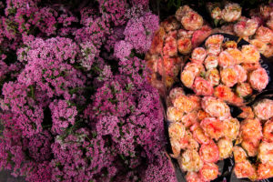 Blumen im Frühling, Blumenhändler, Blumenmarkt Blumen im Frühling, Blumenhändler, Blumenmarkt