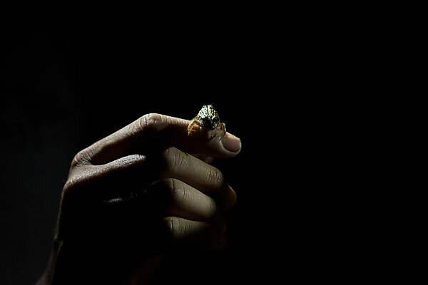 can chewing tobacco cause pancreatic cancer Cancer From Chewing Tobacco Remains a Risk in Georgia