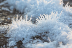 Hoarfrost in the floor, detailed view, Hoarfrost in the floor, detailed view,