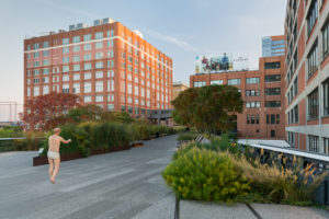 The High Line park, Manhattan, New York city, New York, the USA The High Line park, Manhattan, New York city, New York, the USA