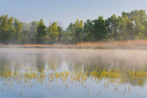 Danube meadows, Lower Austria, Austria Danube meadows, Lower Austria, Austria