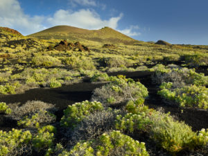 Volcano scenery at the Pico de Tablas, island La Palma, Canary islands, Spain Volcano scenery at the Pico de Tablas, island La Palma, Canary islands, Spain