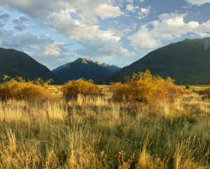 Waimakariri Valley, Arthur's Pass National Park, Canterbury, South Island, New Zealand, Oceania Waimakariri Valley, Arthur's Pass National Park, Canterbury, South Island, New Zealand, Oceania