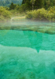 Zelenci, source of the Sava Dolinka, Slovenia, Europe Zelenci, source of the Sava Dolinka, Slovenia, Europe