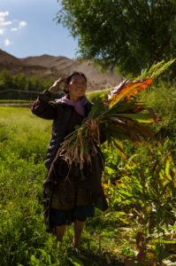 the village of Hemis Schukpachen, portrait the village of Hemis Schukpachen, portrait