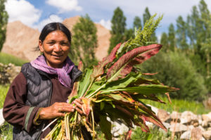 the village of Hemis Schukpachen, portrait the village of Hemis Schukpachen, portrait