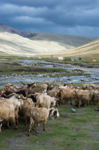 Landscape on the Markha Valley Trek, Nemaling Landscape on the Markha Valley Trek, Nemaling