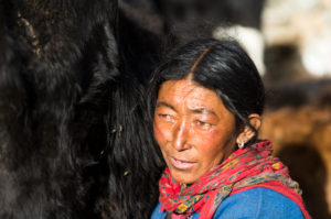People on the Markha Valley Trek, Nemaling People on the Markha Valley Trek, Nemaling