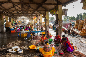 India, Mumbai, the Sassoon Docks