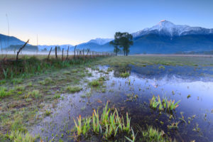 Sunrise on the flooded land of the Natural Reserve of Pian di Spagna Valtellina Lombardy Italy Europe Sunrise on the flooded land of the Natural Reserve of Pian di Spagna Valtellina Lombardy Italy Europe
