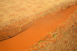 Aerial view of the typical red sand surrounded by plants in the dry landscape of Namib Desert Namibia Southern Africa Aerial view of the typical red sand surrounded by plants in the dry landscape of Namib Desert Namibia Southern Africa