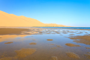 Sand dunes reflected in the lagoon beside the Atlantic Ocean Walvis Bay Namib Desert Erongo Region Namibia Southern Africa Sand dunes reflected in the lagoon beside the Atlantic Ocean Walvis Bay Namib Desert Erongo Region Namibia Southern Africa